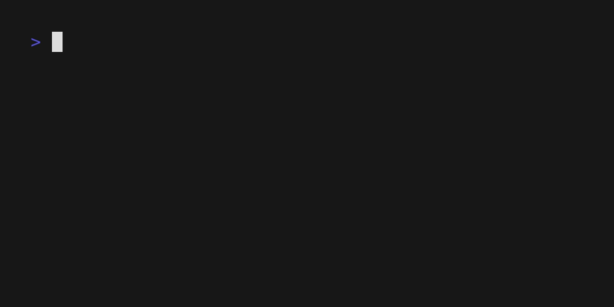 Terminal Output